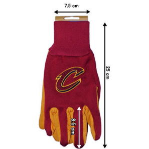 新品 即決 NBA クリーブランド キャバリアーズ 手袋 セール価格の画像4