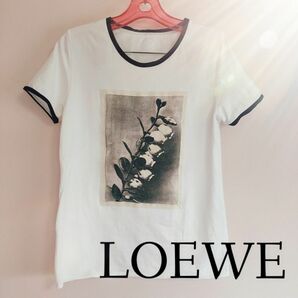 LOEWE☆シンプルTシャツ