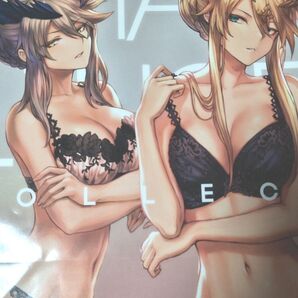 FGO フェイト グランドオーダー 同人誌 紙袋