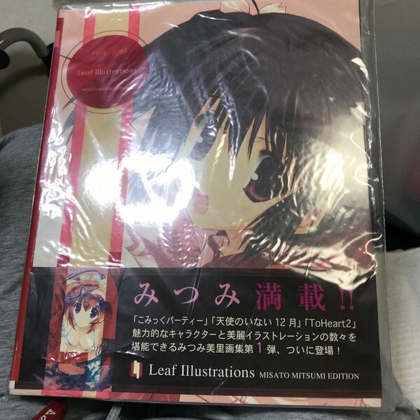 1998-2005 Leaf Illustrations Misato Mitsumi Edition みつみ美里