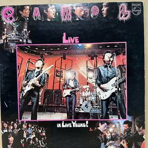 【 LP】 キャロル CAROL / LIVE IN LIVE YOUNG