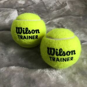 Wilson硬式テニスボール