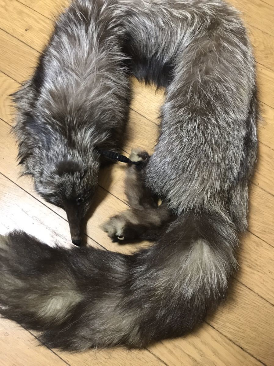 EXPECTATION/ 柔らかくしっとりツヤツヤ☆シルバーフォックス 顔つき襟
