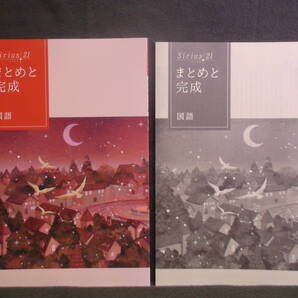 ★ 即発送 ★ 新品 最新版 シリウス21 まとめと完成 標準編 国語 Sirius21