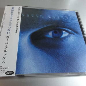 GARTH BROOKS　　ガース・ブルックス　　 FRESH HORSES　　 帯付き国内盤