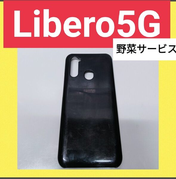 送料込 匿名配送 即日発送 野菜サービス 即購入可 リベロ5Gカバー 送料無料