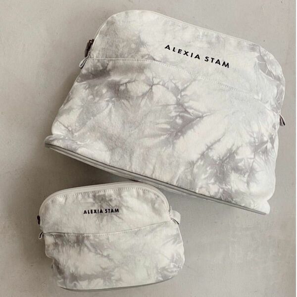 アリシアスタン ロゴ ポーチ 小　Tie Dye Small Pouch Ice Gray　新品 タグ付き　ALEXIASTAM