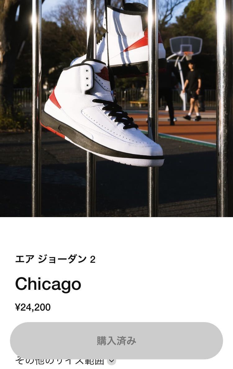 29cm Nike Air Jordan 2 OG