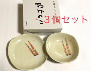 【新品未使用】美濃焼　お皿　片岡鶴太郎　オリジナル　たけのこ　３セット　食洗機可