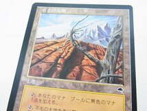 ■ MTG マジック・ザ・ギャザリング カード 不毛の大地 ■ USED（通常保管品）_画像7