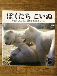 こどものとも年少★110号　ぼくたち こいぬ★かけいしんじ　ぶん / おがわまさひこ　しゃしん