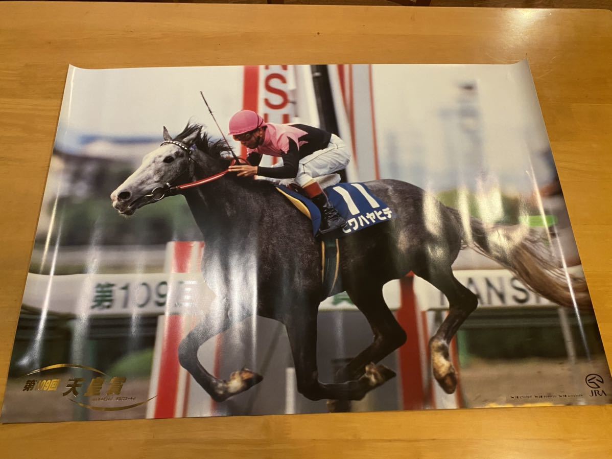 大きな取引 ブライアン.ビワハヤヒデ他 馬券 その他 - education.semel