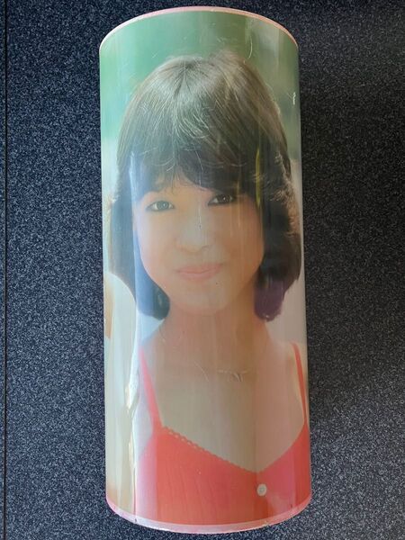 松田聖子 スチール製 ゴミ箱