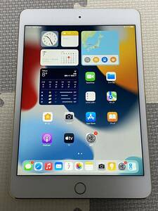iPad mini4 WiFi+Cellular(simフリー) 128GB 充電38回 良品 初期保証有 送料無料 1円スタート　①