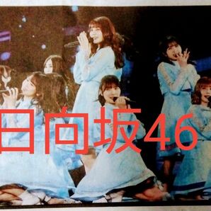 ■日向坂46　産経新聞夕刊