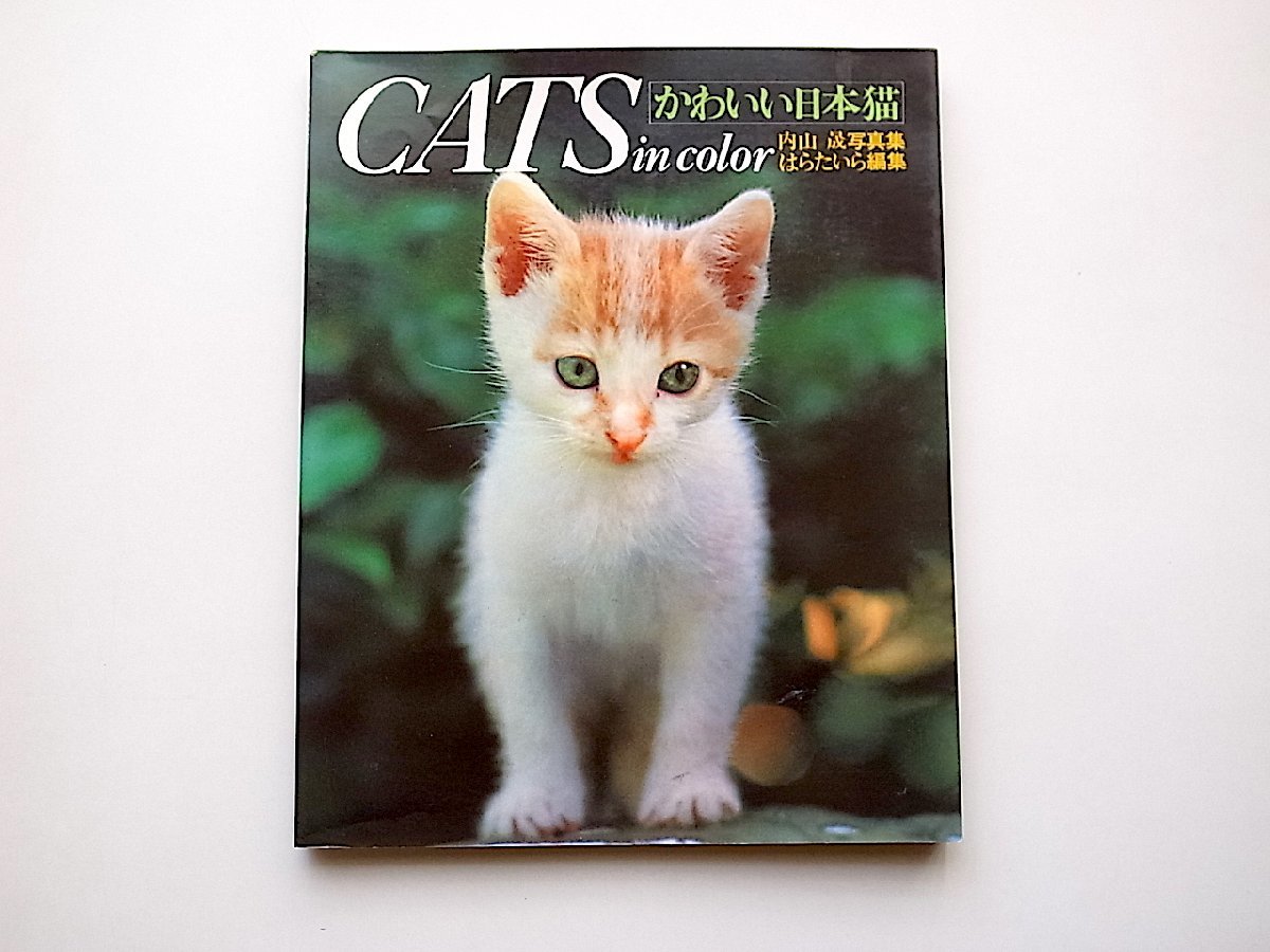 ヤフオク! -#日本猫(本、雑誌)の中古品・新品・古本一覧