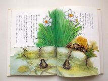 ヒキガエルの王様 (鈴木清子, たかおかおりイラスト,東洋出版2002年)_画像2