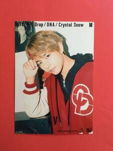 BTS 防弾少年団 MIC Drop DNA Crystal Snow ユニバーサルミュージック 購入特典 フォト 生写真 V ブイ テヒョン 即決 貴重