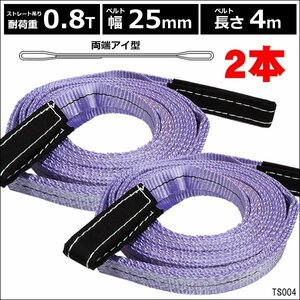 ナイロンベルトスリング 25mm×4m ストレート吊0.8T【2本セット】両端アイ型 建築 吊具/17П