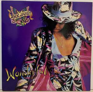 US盤 Rick James - Wonderful /Roxanne Shant / Big Daddy Kane / 