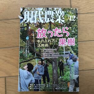 現代農業 ２０１９年１２月号 （農山漁村文化協会）