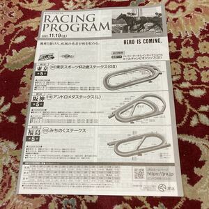 JRAレーシングプログラム2022.11.19(土)東京スポーツ杯2歳ステークス(GⅡ)、アンドロメダステークス(L)、みちのくステークス