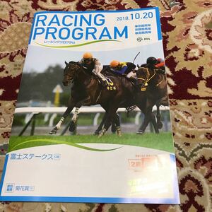 JRAレーシングプログラム2018.10.20、富士ステークス（GⅢ)