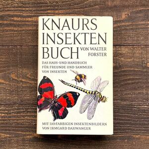 ドイツの古い昆虫図鑑(KNAURS INSEKTEN BUCH 1968年)/アンティーク ヴィンテージ ヨーロッパ 洋書 昆虫のイラスト 昆虫の絵 雰囲気◎/
