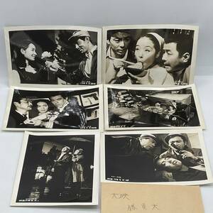 Art hand Auction ★希少!!★映画『勝負犬』②★スチール写真 セット/写真/カラー無/昭和レトロ/当時物/非売品/入手困難, 映画, ビデオ, 映画関連グッズ, 写真