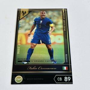 ♪♪WCCF 13-14 HOLE ファビオ・カンナバーロ 変換済み Fabio Cannavaro Azzurri ♪三点落札で普通郵便送料無料♪