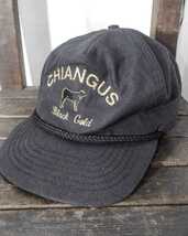 Vintage chiangus bull black gold 5panel cap 90s チェンガス牛 ブラックゴールド 5パネルキャップ 刺繍 アメリカ製 ビンテージ_画像2