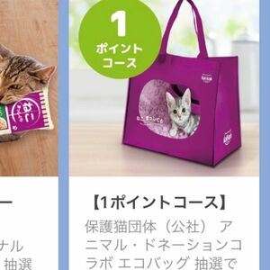 カルカン　当選品　エコバッグ