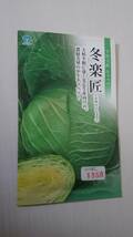 新品古種 野菜の種　冬楽匠　ふゆらくしょう　キャベツ_画像1