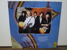 EU-original Into the Great Wide Open [Analog] Tom Petty & The Heatbreakers アナログレコード vinyl　トム・ぺティ Jeff Lynne_画像2