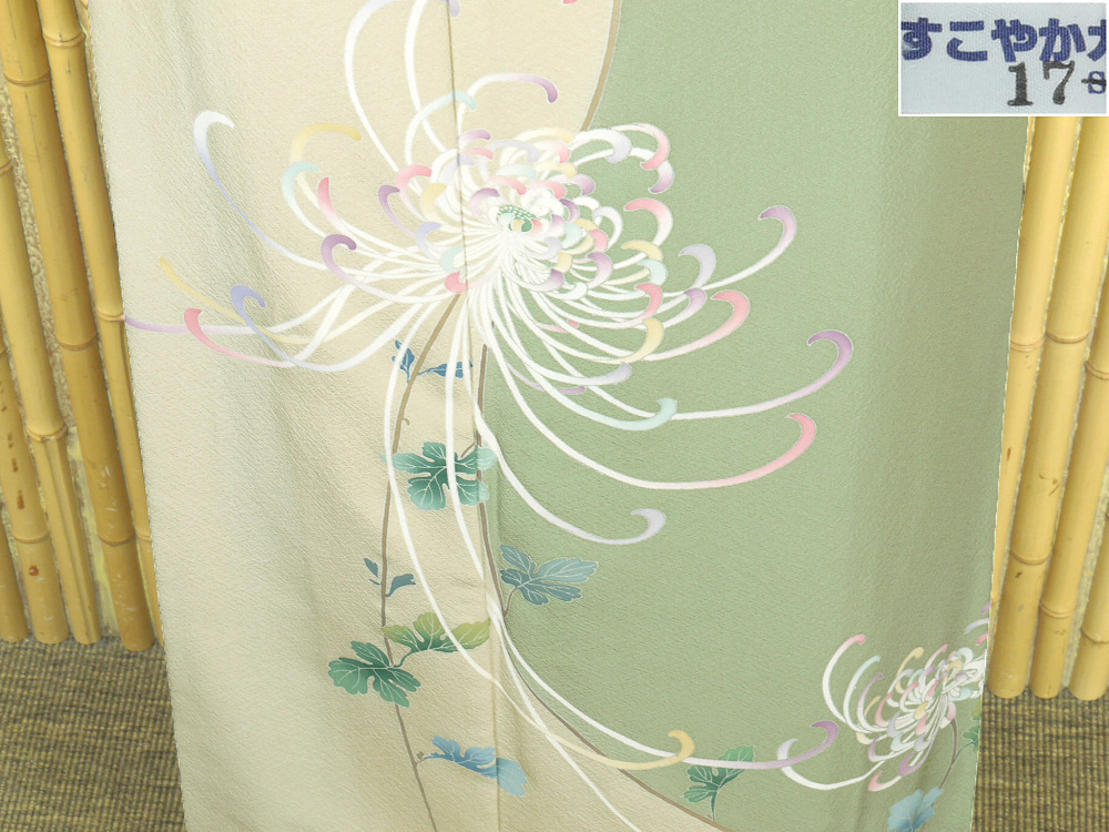 [Kyoto Kanzashi] T-884★Homongi, hand-painted Yuzen, Tango chirimen, Rangiku, wisteria, with thread attached, unworn, tall size★Free shipping on a quick purchase!, women's kimono, kimono, Visiting dress, Tailored