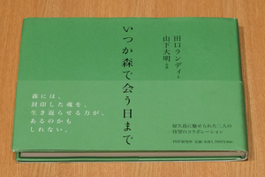 いつか森で合う日まで 田口ランディ 写真:山下大明　即決