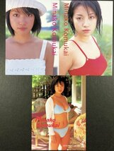 小向 美奈子　アップトゥボーイ・FUTABASHA　3枚セット　水着 グラビア アイドル トレカ トレーディングカード_画像1