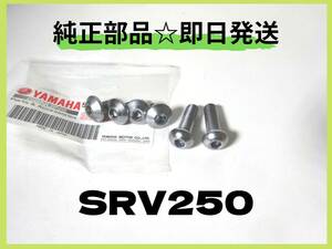 SRV250 4DN　ヤマハ純正ヘッドライトプレートボルトセット【YA-22】 純正部品 カスタム ルネッサ カフェレーサー マフラー