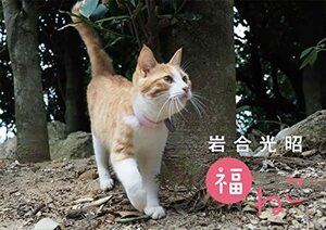 岩合光昭 福ねこカレンダー2023 ([カレンダー])