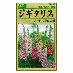 カネコ種苗 園芸・種 KS100シリーズ ジギタリス ノートルダムの鐘 草花100 046