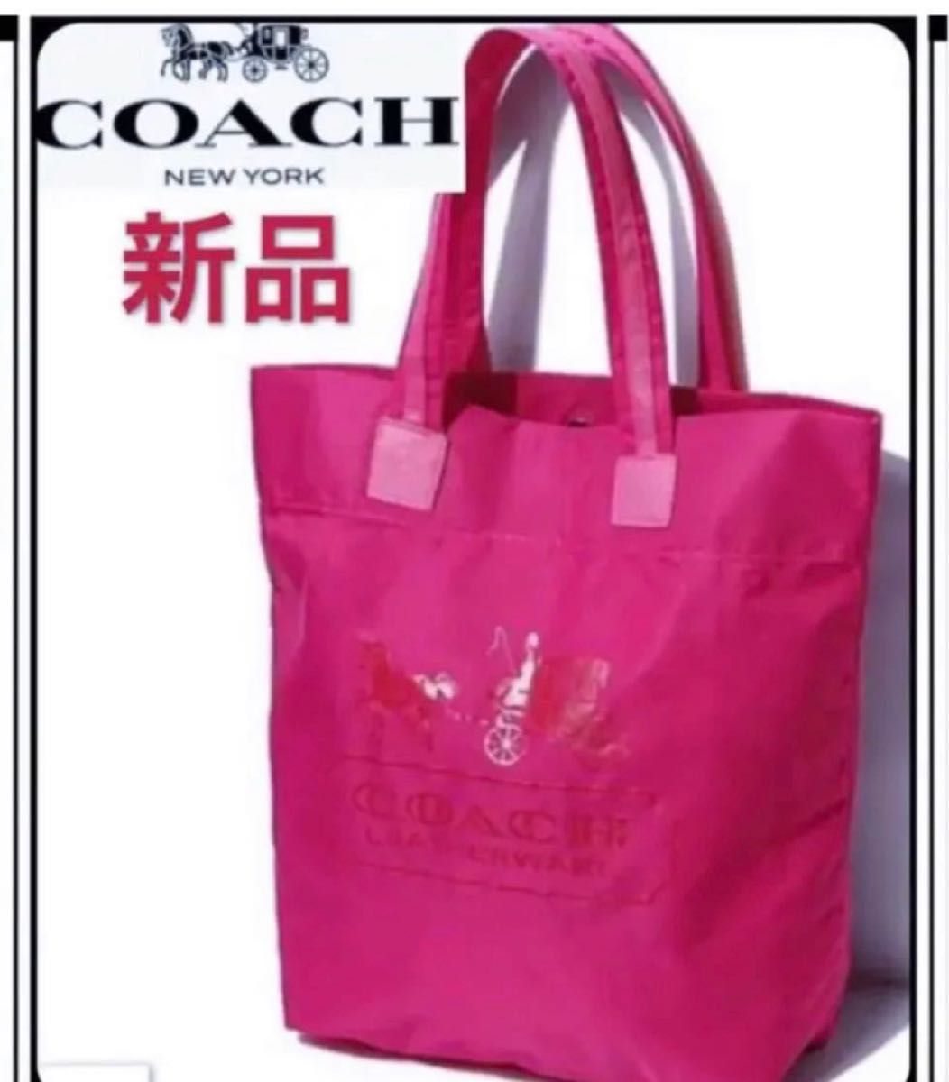 新品•正規品 コーチ テンプシー 2way ピンク 買い誠実 kandjietfreres.com