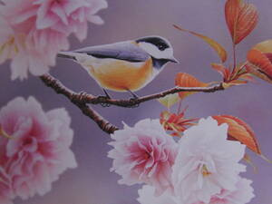 Art hand Auction Tsukasa Yamaji, Double cherry blossoms and varied tit 1, From a rare collection of framing art, Beauty products, New frame and framing included, free shipping, Painting, Oil painting, Animal paintings