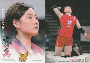 2021 火の鳥NIPPON 田代佳奈美【RG42】レギュラーカード 画像表裏 ※同梱可 注意事項必読