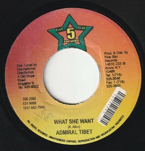 JA盤7”EP★Admiral Tibet★What She Want★ROOTS Star Boy Riddim★2005年Five Star★超音波洗浄済★試聴可能