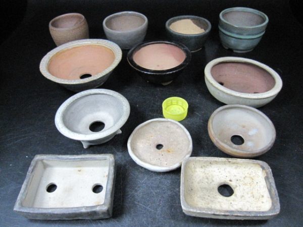 井藤丹鏡の盆栽鉢、小鉢、盆栽-
