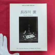 z46図録【長谷川潔/京都国立近代美術館所蔵品目録3・平成3年】島田康寛:長谷川潔の芸術/長谷川潔年譜/マニエール・ノワール_画像1