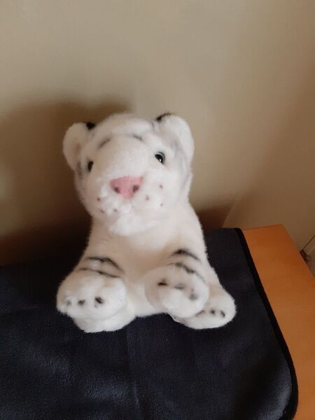 ホワイトタイガー ぬいぐるみ CUTE zoo collection