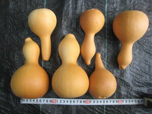 ① calabash 6 piece top and bottom . hole equipped! in detail commodity explanation ..
