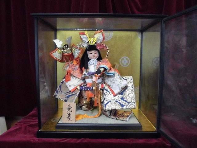 May Doll No. 10 Kabuto-sashi with glass case, season, Annual Events, Children's Day, May Dolls