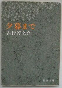 文庫◆夕暮まで◆吉行淳之介◆Ｈ６/１０/３０◆公園で◆網目のなか◆傷◆夜の警官◆血◆すでにそこにある黒